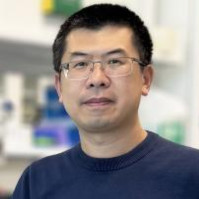 Yufeng (Francis) Fang